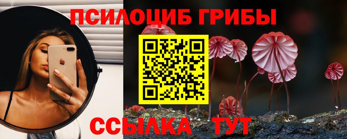 Галлюциногенные грибы Cubensis Орёл